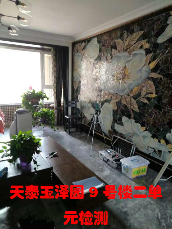 天泰玉澤園9號(hào)樓二單元檢測(cè)